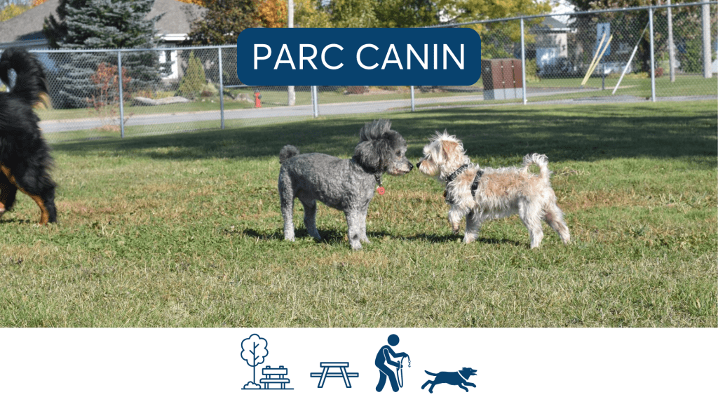 Parc canin